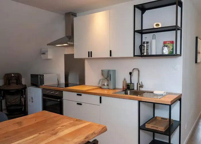 Apartment La Magnifique - Prestige - Parc - Art Et Histoire *